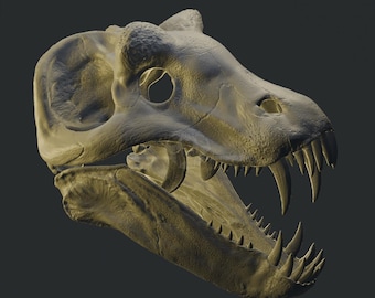Anteosaurus magnificus Schädel 3D-Modell - Museum Qualität hochauflösende STL für 3D-Druck