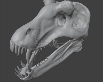 Anteosaurus magnificus Skull - LOW POLY STL for 3D Printing