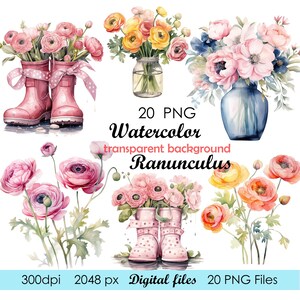 Könnte beinhalten: Aquarell-Digitaldateien mit verschiedenen Blumenarrangements, darunter rosa Ranunkelblumen in rosa Gummistiefeln, ein Glas und eine blaue Vase. Der Text "20 PNG Watercolor transparent background Ranunculus" ist enthalten.