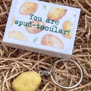 You Are Spud-tacular - Potato Charm Keyring Matchbox Gift