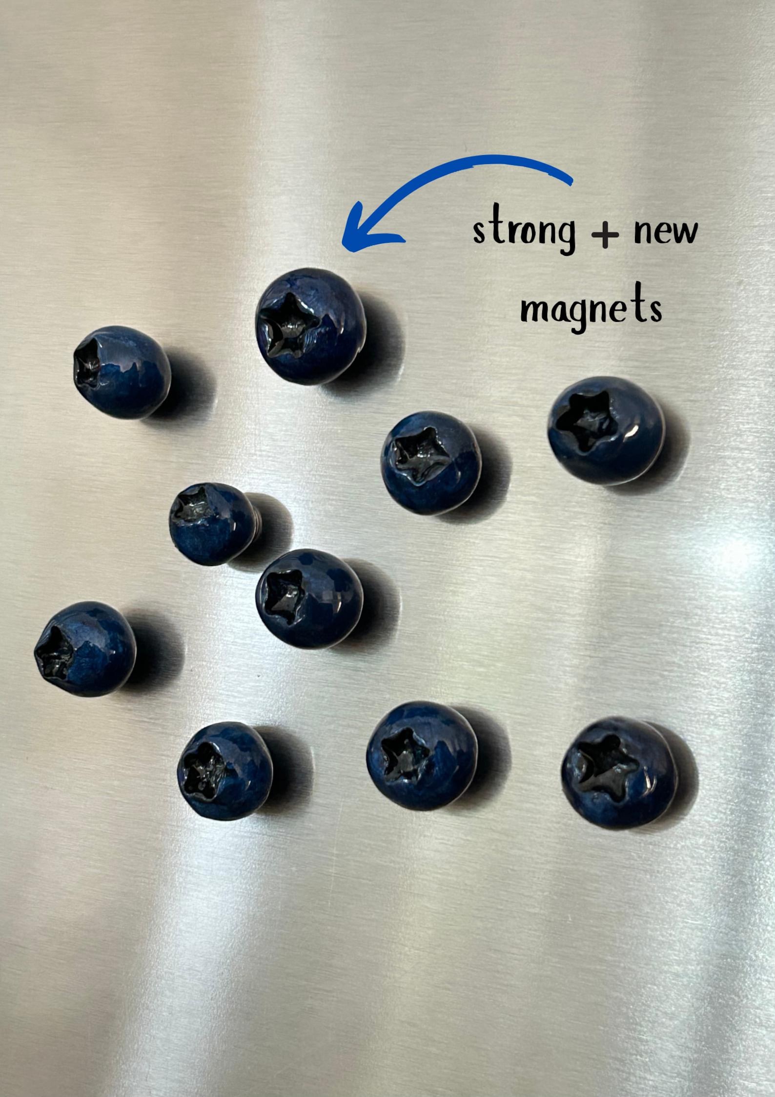 Handmade Polymer Clay Fruit Magnets Set | Blueberry, Lemon, Blackberry, Banana, Kiwi, Olive & Bundle/Pack - Blueberry (10 piece)