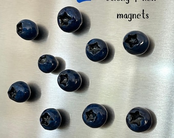 Handmade Polymer Clay Fruit Magnets Set | Blueberry, Lemon, Blackberry, Banana, Kiwi, Olive & Bundle/Pack