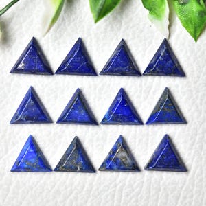 Könnte beinhalten: Zehn dreieckige Lapis-Lazuli-Edelsteine. Jeder Stein ist tiefblau mit Goldflecken und einer polierten Oberfläche. Die Edelsteine sind in drei Reihen auf einer weißen Oberfläche angeordnet, mit grünen Blättern im Hintergrund.