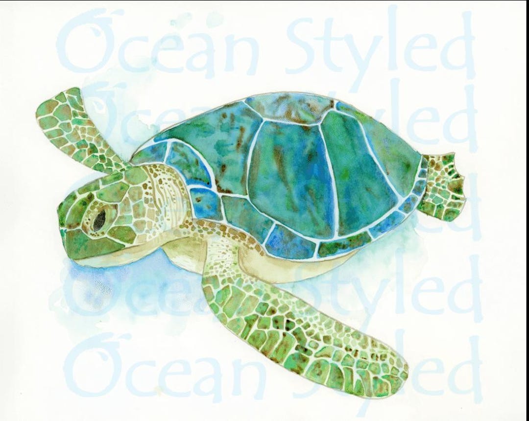 Sea Turtle Print - Etsy
