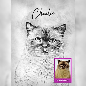 Custom cat portrait from photo, Pet sketch personalized, Dog Cat Lover Illustration, Animal portrait, Pet Loss Memorial Artwork, Pet Gifts