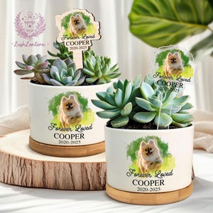 May include: Two white ceramic planters with succulents, each featuring a Pomeranian graphic and the text "Forever Loved COOPER 2020-2025." The planters sit on wooden bases and a wooden slice. One planter has a wooden sign.