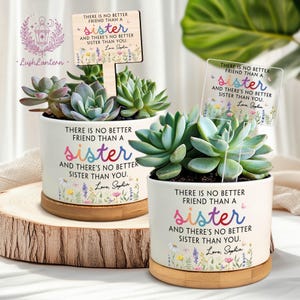 Sister Gift, Custom Plant Pot, Best Friends Gift, Soul Sisters Gift, Plant Lovers Gift, Personalized Planter, Sister Birthday Gift, Sister
