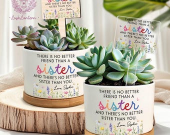 Sister Gift, Custom Plant Pot, Best Friends Gift, Soul Sisters Gift, Plant Lovers Gift, Personalized Planter, Sister Birthday Gift, Sister
