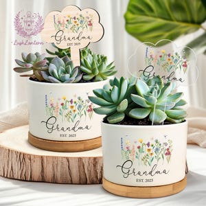 May include: Two white ceramic succulent planters with wooden and clear cloud-shaped plant stakes. Each planter has a floral design and the word "Grandma" with "EST. 2025". The succulents are green.