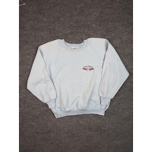 Op de afbeelding: Een lichtblauw sweatshirt met ronde hals, lange mouwen, geribbelde boorden en een geribbelde zoom. Op de linkerborst bevindt zich een kleine, donkergekleurde grafische print van een kroonachtig embleem met scherpe, puntige details.