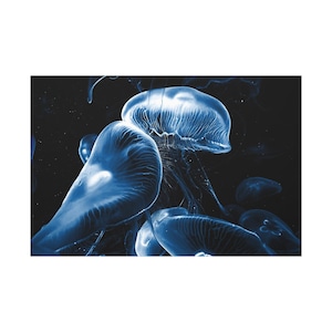 Blue Jellyfish Canvas Print: Marine Theme Ocean Wall Art