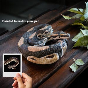 May include: A coiled sculpture of a ball python, featuring a detailed pattern of brown, black, and tan scales. The text "Painted to match your pet" is visible. A small photo of a snake is held in the foreground.