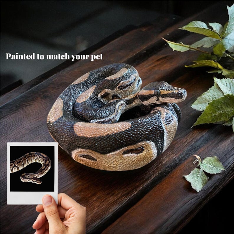 May include: A coiled sculpture of a ball python, featuring a detailed pattern of brown, black, and tan scales. The text "Painted to match your pet" is visible. A small photo of a snake is held in the foreground.