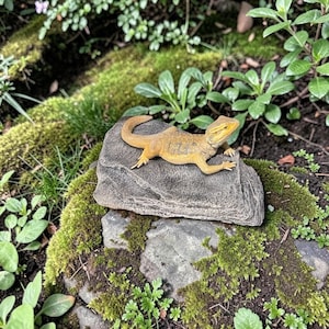 May include: A yellow and brown bearded dragon ornament sits on a grey stone, surrounded by green moss and plants. The reptile figurine is a decorative item, designed to resemble a real lizard in a natural setting.