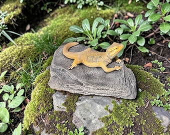 May include: A detailed, yellow and brown bearded dragon figurine rests on a gray stone. The reptile is surrounded by green moss and foliage, creating a naturalistic scene. The figurine is a decorative item.