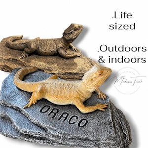 May include: Two life-sized bearded dragon statues. One is bronze-coloured, the other is tan and yellow, both resting on faux stone bases. The word "ORACO" is inscribed on the base of the tan dragon. The text reads "Life sized. Outdoors & indoors."