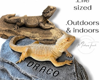 Personalized Bearded Dragon Memorial Statue, Life Size Lizard Decor, Reptile Gift