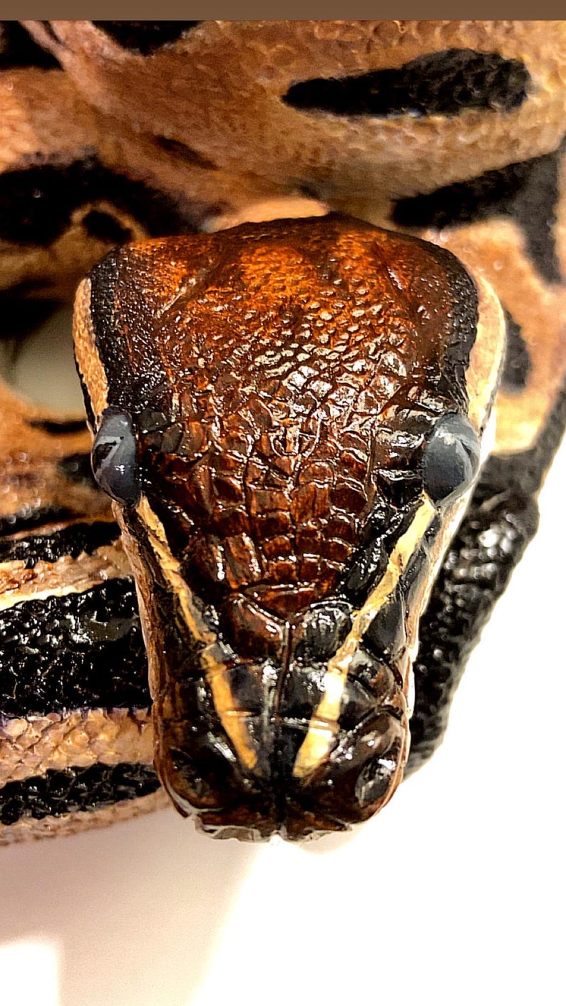 Custom Painted Python Statue - Hand-Cast Concrete Serpent, Garden Art image 7