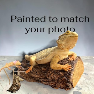 May include: A tan bearded dragon figurine resting on a textured brown log. The text "Painted to match your photo" is displayed above the lizard. A smaller, lighter-coloured lizard figurine and a bronze-coloured wolf sculpture are visible below.