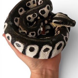 Custom Painted Python Statue - Hand-Cast Concrete Serpent, Garden Art image 9