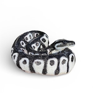 Custom Painted Python Statue - Hand-Cast Concrete Serpent, Garden Art image 4