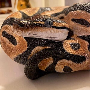 Custom Painted Python Statue - Hand-Cast Concrete Serpent, Garden Art image 8