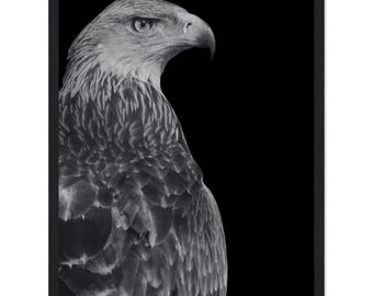 Eagle Black and White Photography – Majestic Bird of Prey Art Print, Wildlife Wall Decor
