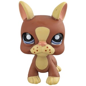 Figura vintage LPS Littlest Pet Shop, perro n.° 1789, Boston Terrier, 2004, Hasbro, marrón tostado, generación 3, ojos azules, sin imán, muy buena calidad. Ofrecemos envío combinado.