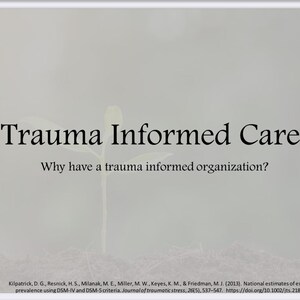 Trauma-Informed Care 101: Wesentlicher Handbuch für Professionelle für psychische Gesundheit und Bildung | Druckbares PDF