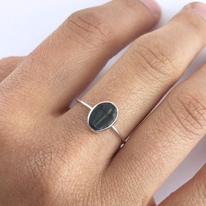 Tiny Fossil Trilobite Sterling Silver Ring, Fossil Stacking Ring, Elrathia Kingi Trilobite Ring, Natural Fossil Ring, Sterling Silver Ring