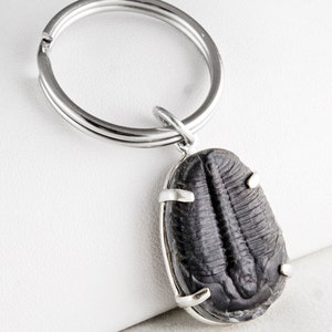 Trilobite Fossil Sterling Silver Key Ring, Sterling Silver Trilobite Key Ring, Elrathia Trilobite Fossil Key Chain Ring