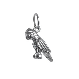 Parrot Sterling Silver Charm