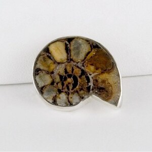 Ammonite Fossil Tie Tac in Sterling, Silver Lapel Pin, Silver Tie Tack image 2