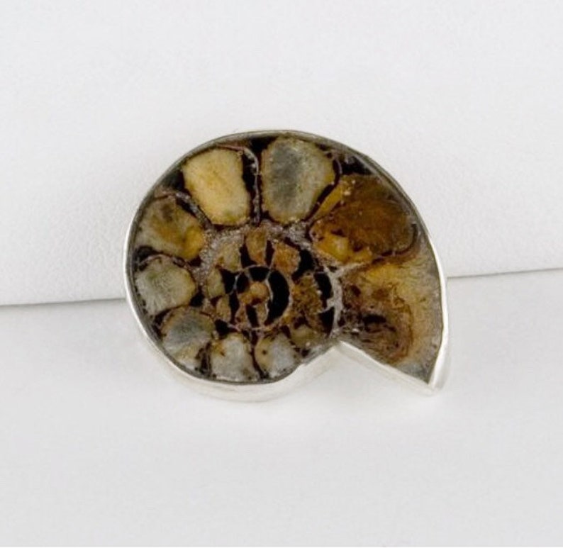 Ammonite Fossil Tie Tac in Sterling, Silver Lapel Pin, Silver Tie Tack image 2