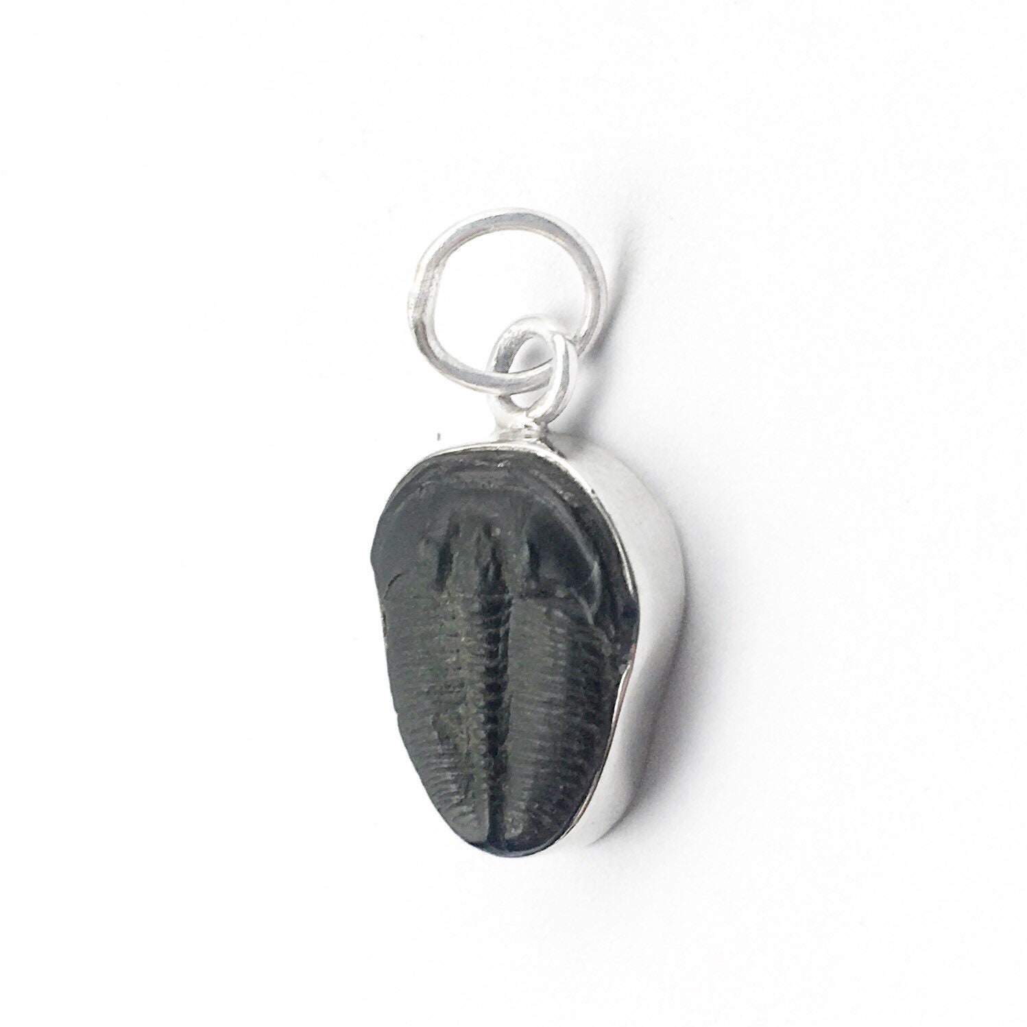 Fossil Trilobite Sterling Silver Pendant, Trilobite Fossil Pendant, Elrathia Trilobite Pendant in Sterling Silver, Fossil Silver Necklace