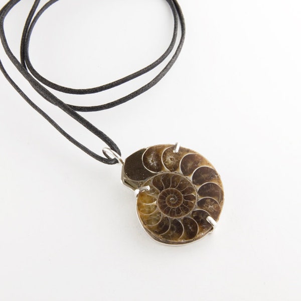 Ancient Ammonite Fossil Sterling Silver Necklace