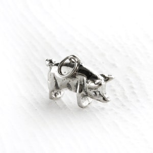Entzückende Schwein Sterling Silber Charm Anhänger Halskette