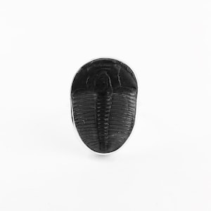 Huge Fossil Trilobite Sterling Silver Ring, Elrathia Kingi Trilobite Fossil Ring, Large Trilobite Fossil Silver Ring