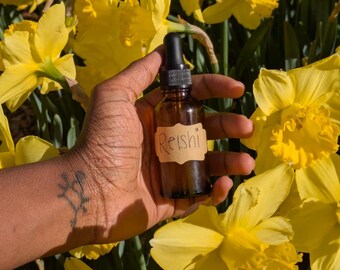 Reishi Tincture