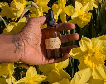 Lion's Mane Tincture