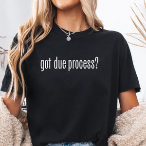 Heb je een eerlijk proces? T-shirt: pro-democratie, constitutional Rights Activist-T-shirt (zwart of wit)