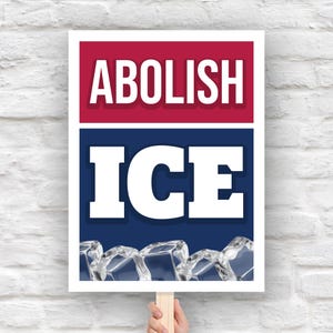 May include: A sign with the words "ABOLISH ICE" in white block letters. The top section is red, the middle section is blue, and the bottom features a graphic of ice cubes. The sign is held by a wooden stick.