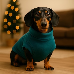 Dackel Pullover - Hundepullover aus weichem Fleece für Dackel | Warmer Stretchy Sweater für Mini & Standard Dackel | Kleine Hundebekleidung
