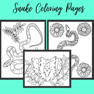 Hand drawn snake and flower coloring book page set of 3 for adults digital download green tree python ball python corn snake
