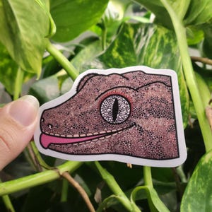 Gargoyle Gecko Vinyl Sticker Waterproof Hand Drawn 3 inch