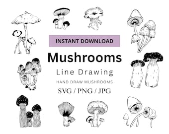 Lot de dessins au trait champignon, clipart champignons dessinés à la main (téléchargement numérique)