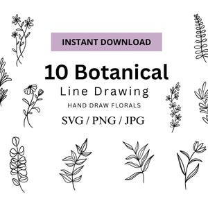 10 Botanical SVG PNG JPG | Botanical svg files for Cricut, Silhouette l Png files for Procreate, Canva l Hand Draw Plant Art svg l Line art
