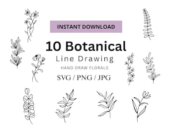 10 Botanical Line Drawing Clipart Bundle (SVG, PNG, JPG)