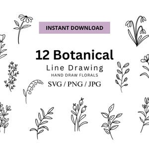 12 Botanical SVG PNG JPG | Botanical svg files for Cricut, Silhouette l Png files for Procreate, Canva l Hand Draw Plant Art svg l Line art