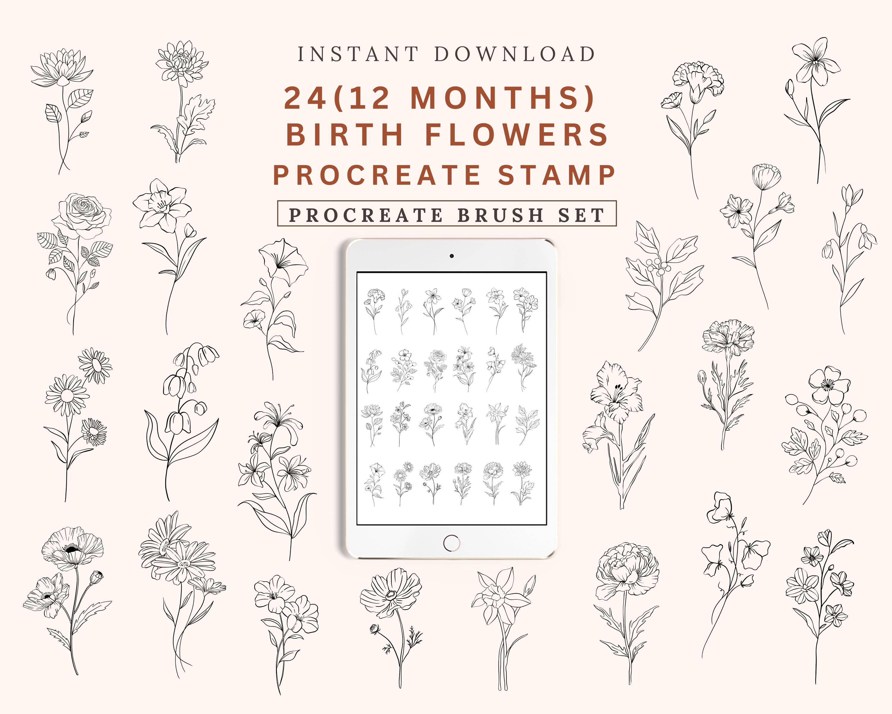 Birth Flowers Procreate Brushset, Line Art Stamps (digital Download) - Etsy